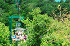 Ocho Rios Chairlift cruise excursion